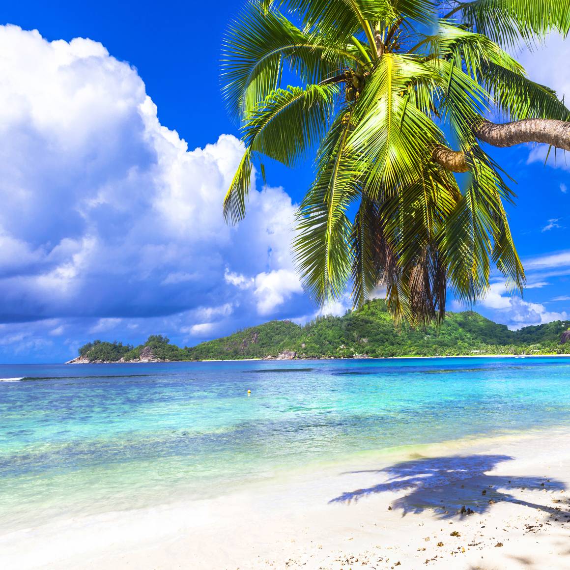 Beaches
